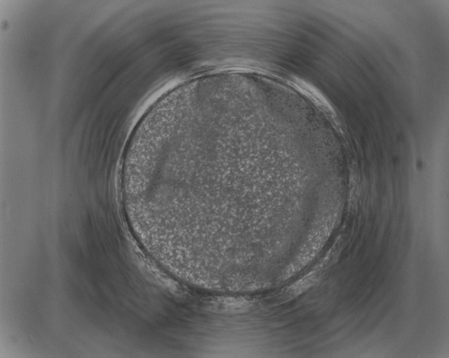 X0000085041190200703261304