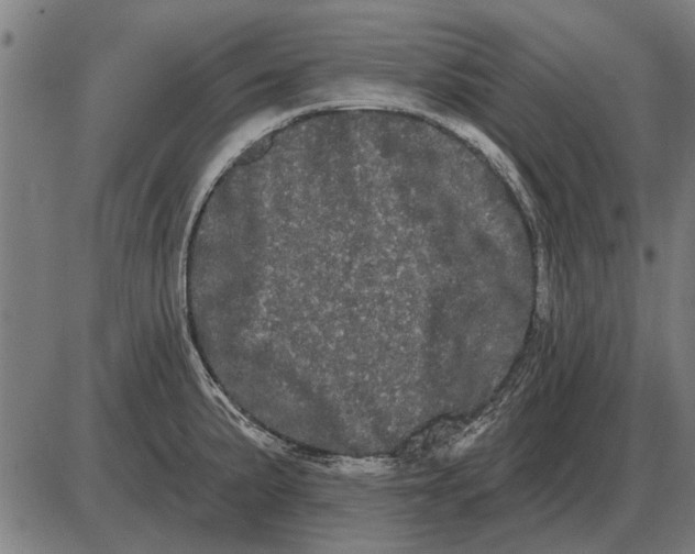 X0000085041191200703261304