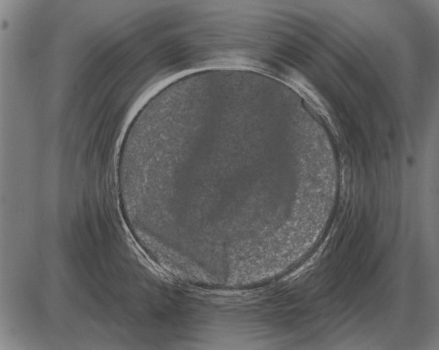 X0000085041192200703261304