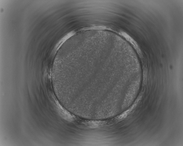 X0000085041193200703261304