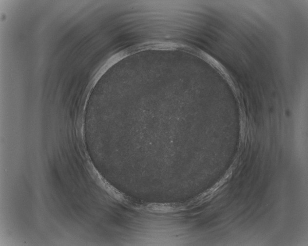 X0000085041194200703261304