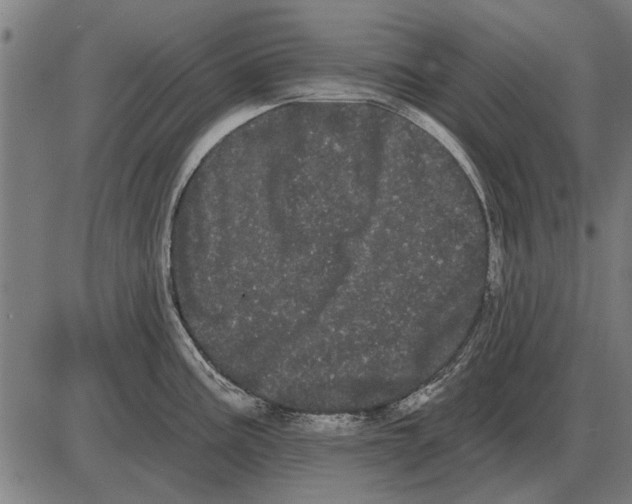 X0000085041195200703261304