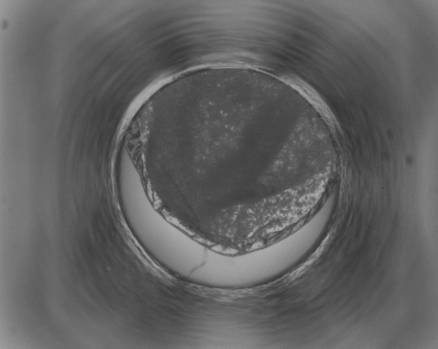 X0000085041196200703261304