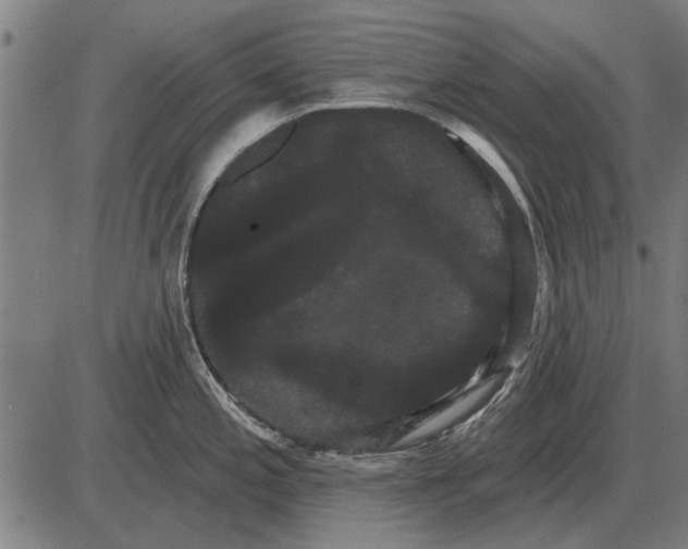 X0000085041197200703261304