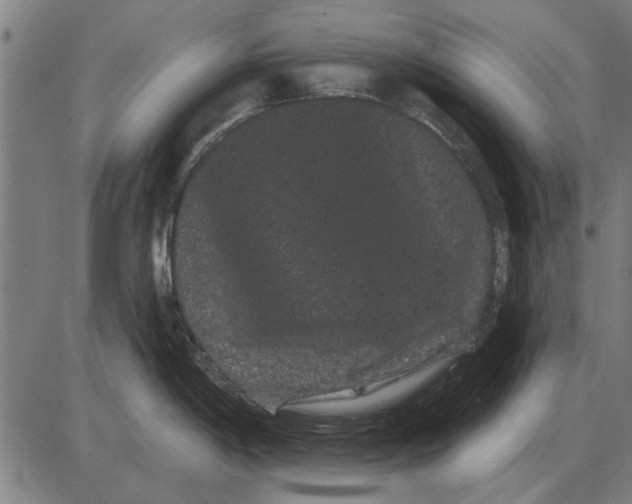 X0000085041198200703261304