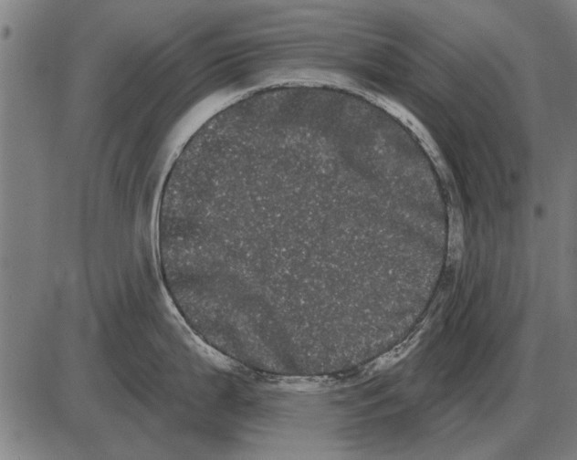 X0000085041199200703261304