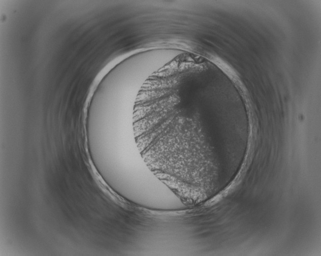 X0000085041200200703261304