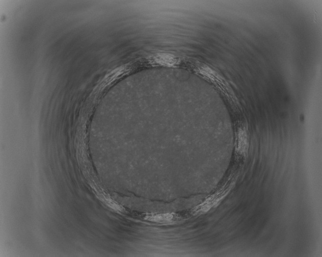 X0000085041201200703261303