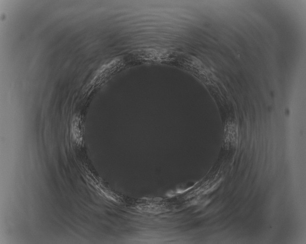 X0000085041202200703261303