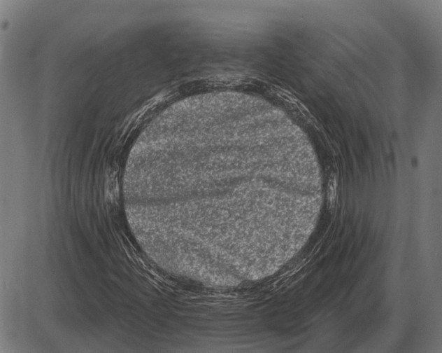 X0000085041204200703261303