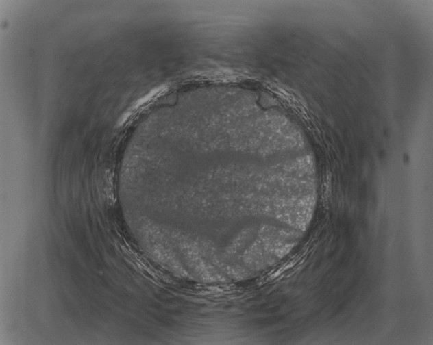 X0000085041205200703261303