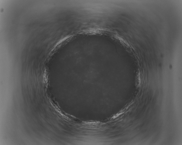 X0000085041206200703261303