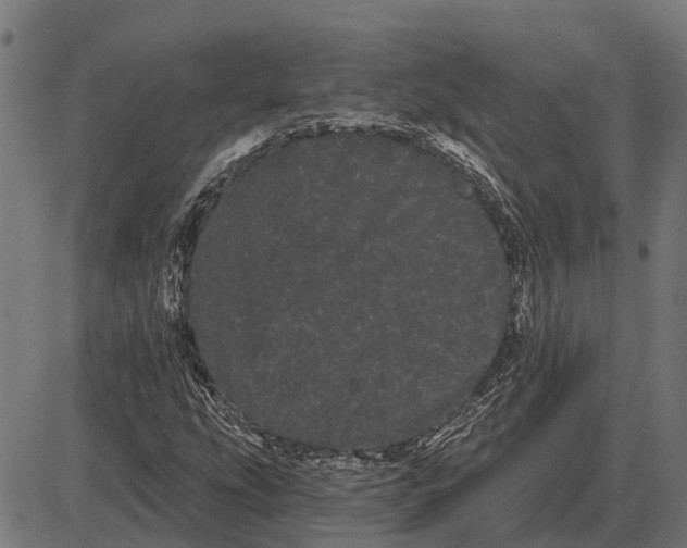 X0000085041207200703261303