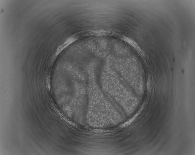 X0000085041209200703261303