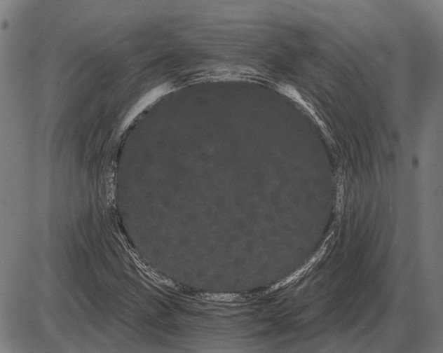 X0000085041211200703261303