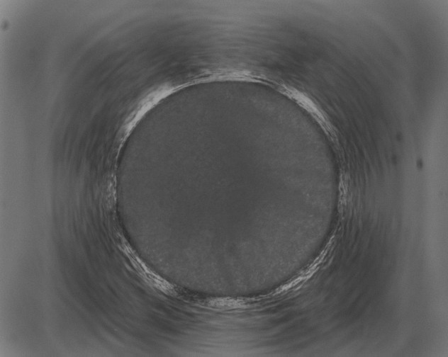 X0000085041212200703261303