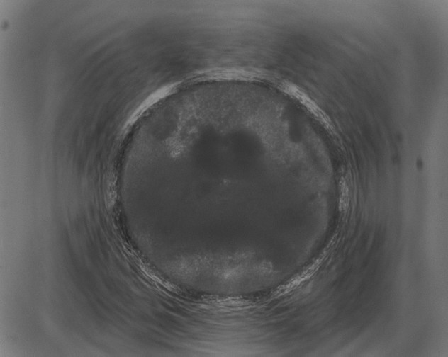 X0000085041213200703261303