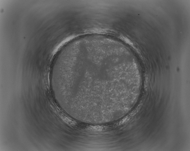 X0000085041214200703261303