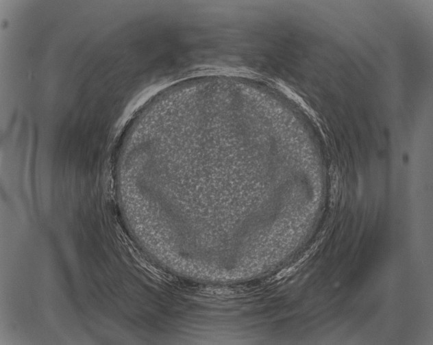 X0000085041215200703261303