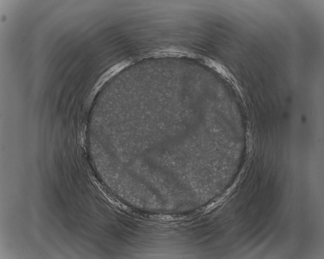 X0000085041217200703261303