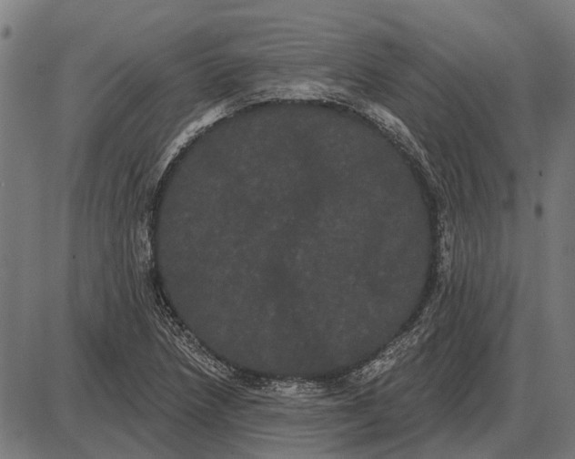 X0000085041218200703261303