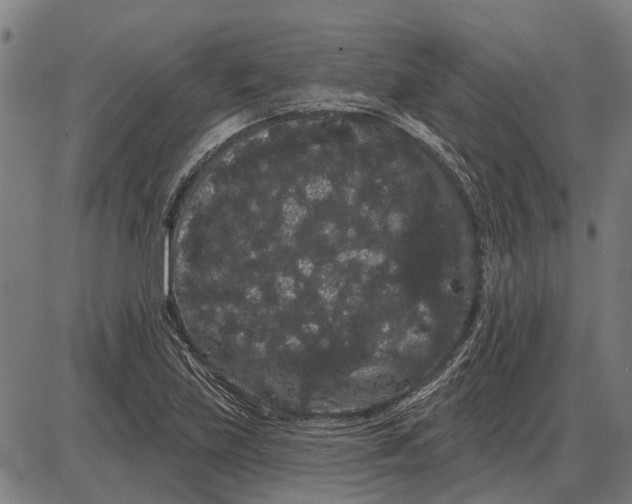 X0000085041219200703261303