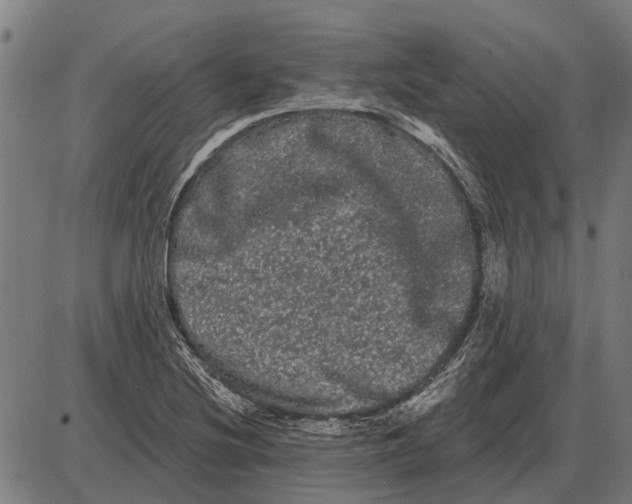 X0000085041220200703261303