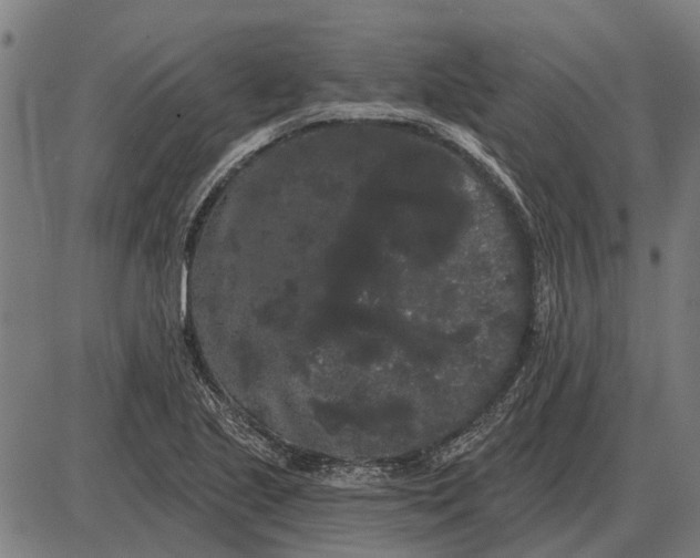 X0000085041221200703261303