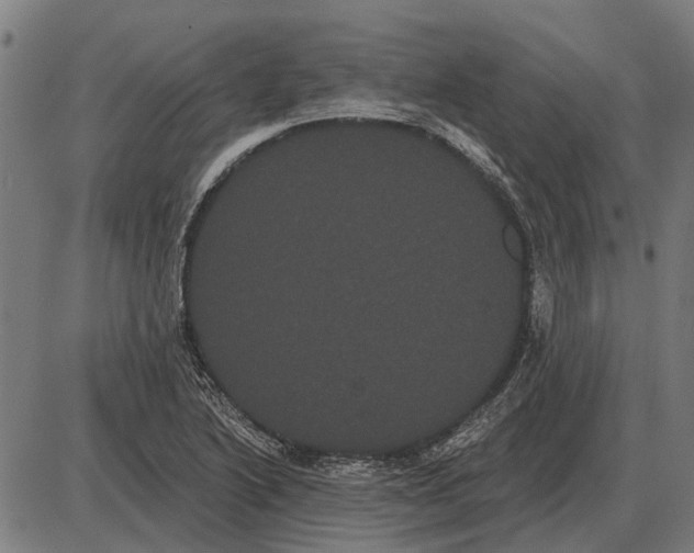 X0000085041222200703261303