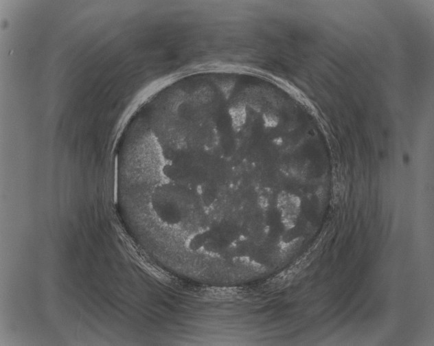 X0000085041223200703261303