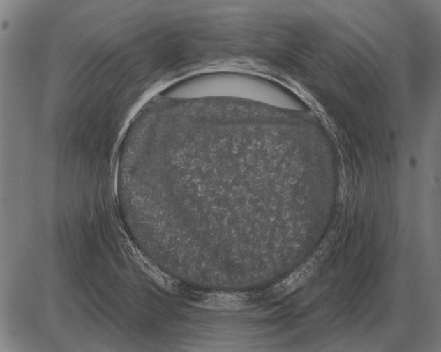 X0000085041224200703261303