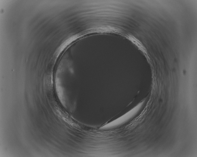 X0000085041226200703261303