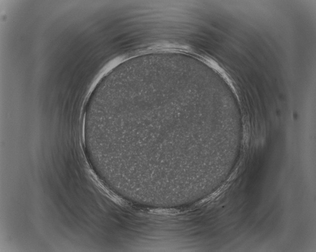 X0000085041227200703261303