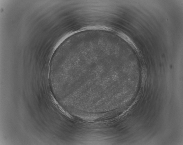 X0000085041228200703261303