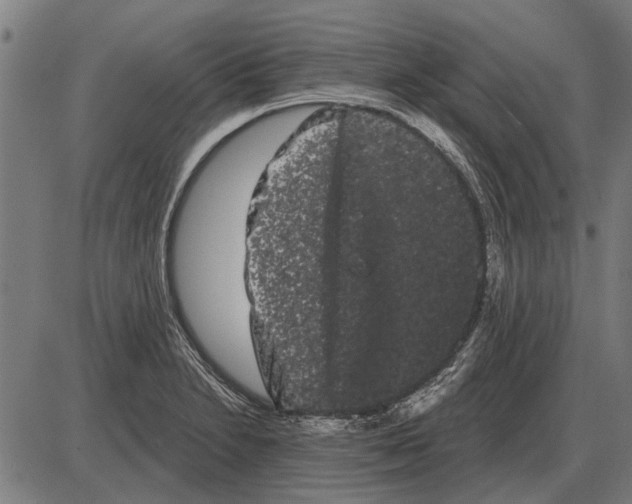 X0000085041230200703261303