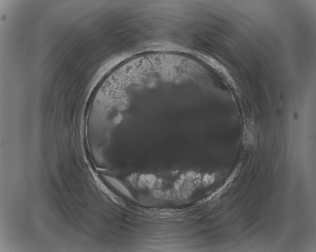 X0000085041231200703261303