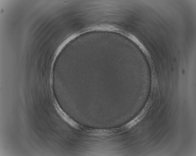 X0000085041232200703261303