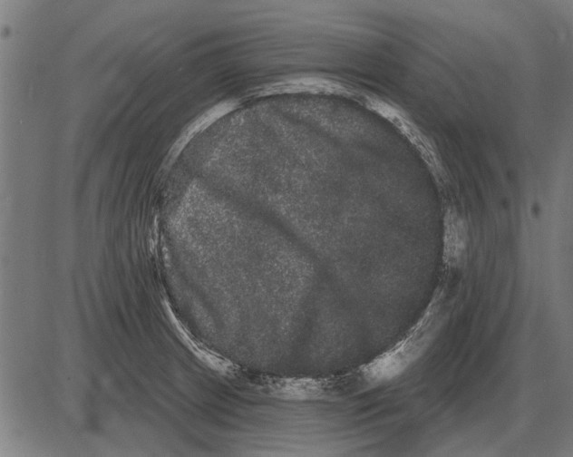 X0000085041233200703261303