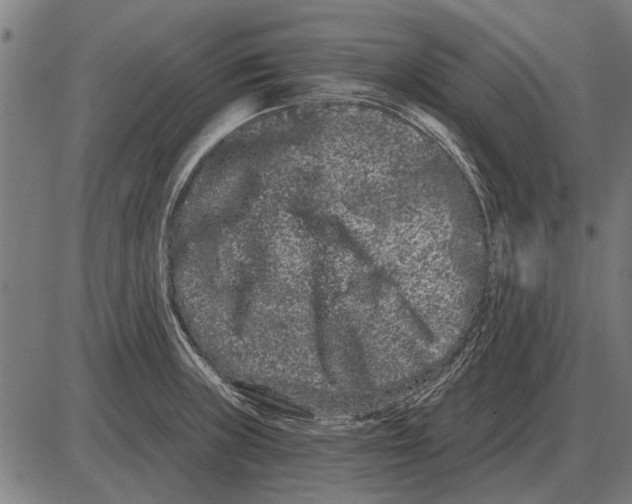 X0000085041235200703261303