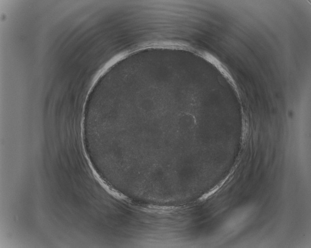 X0000085041237200703261303