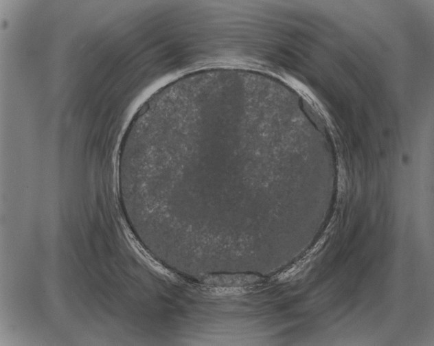 X0000085041238200703261303