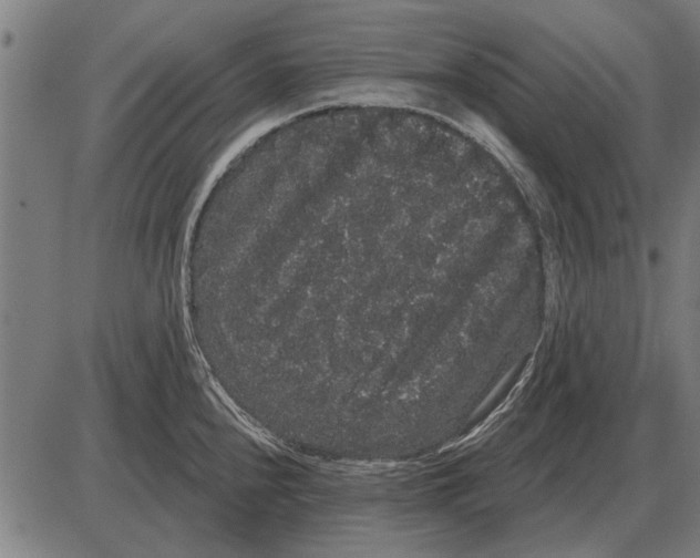 X0000085041240200703261304