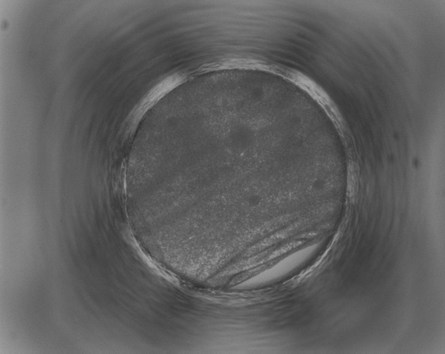 X0000085041241200703261304