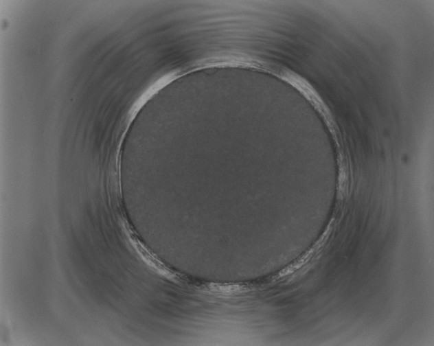 X0000085041242200703261304