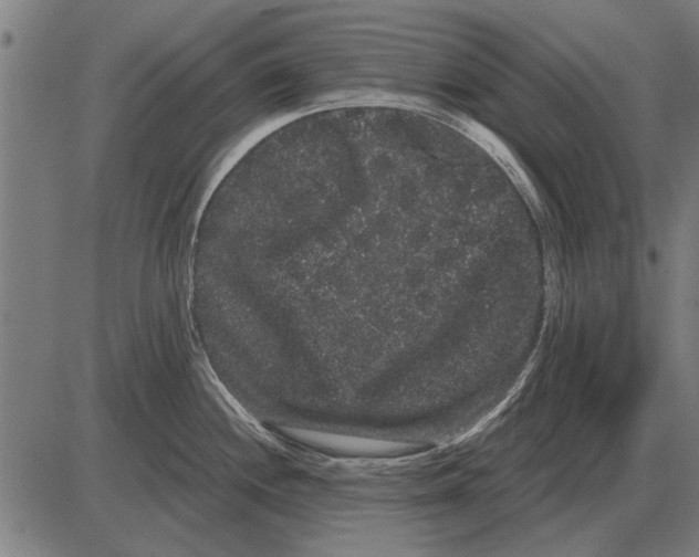 X0000085041244200703261304