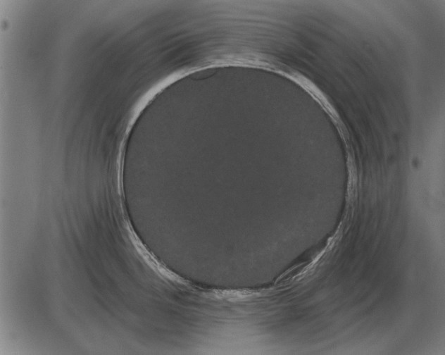 X0000085041246200703261304