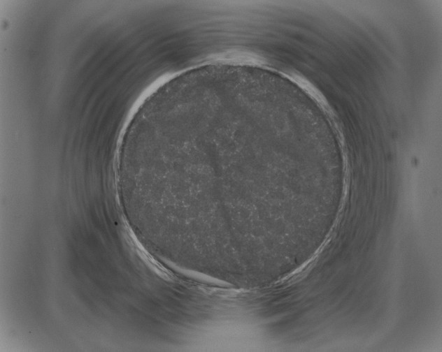 X0000085041248200703261304