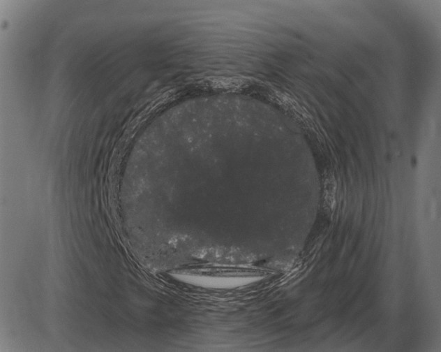 X0000085041249200703261303