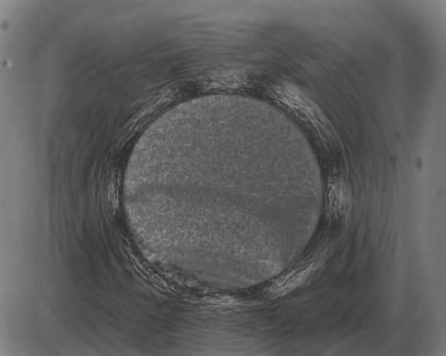 X0000085041250200703261303