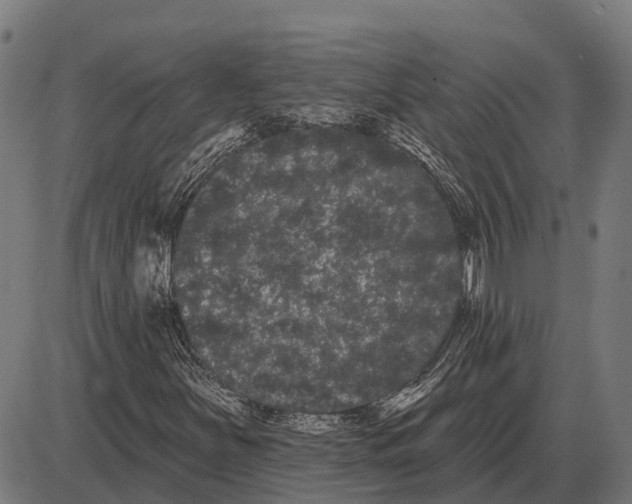 X0000085041251200703261303